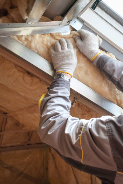 Professional Insulation Contractor in Tyler, TX