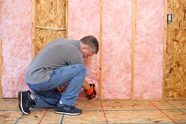 Best Geographic-Specific Insulation Services in Tyler, TX