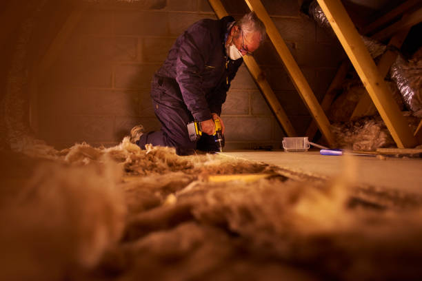 Best DIY Insulation Kits and Guidance in Tyler, TX